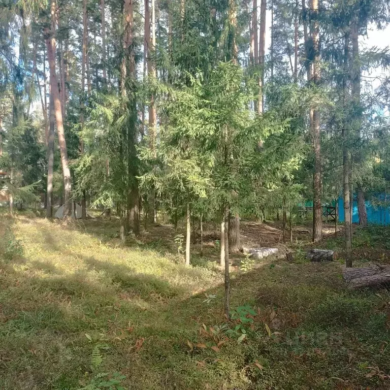 Участок в Московская область, Щелково городской округ, д. Первая ... - Фото 1