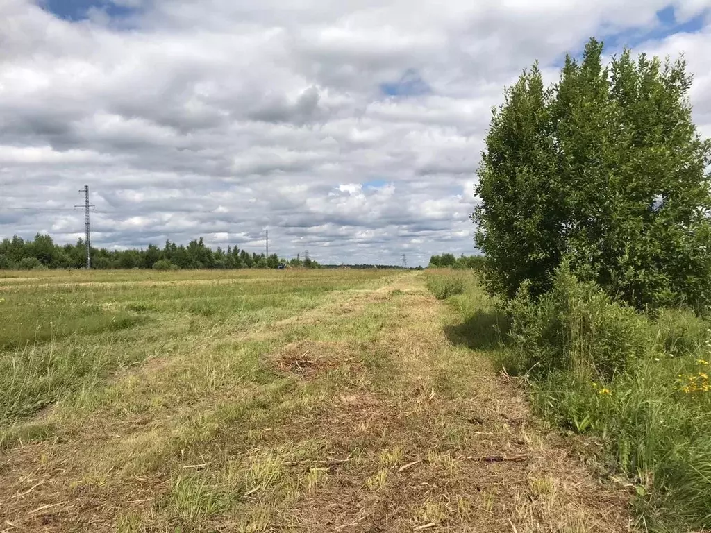 Участок в Ивановская область, Ивановский район, Коляновское с/пос, д. ... - Фото 1