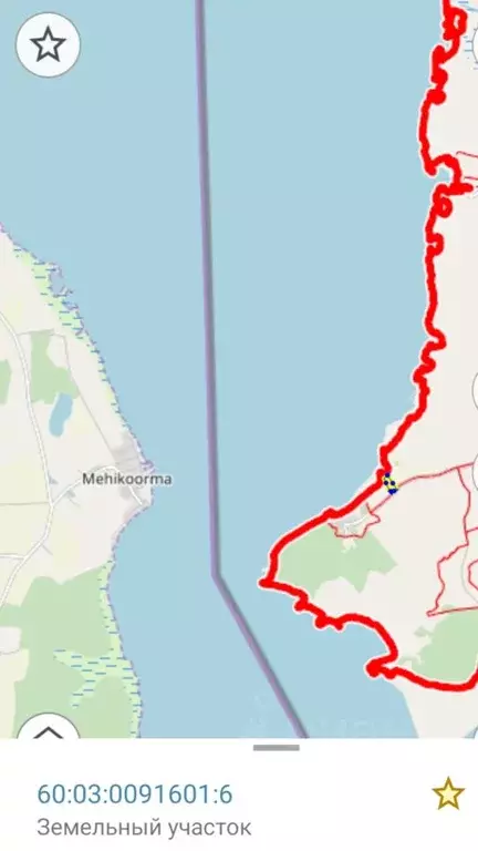 Участок в Псковская область, Гдовский район, Самолвовская волость, д. ... - Фото 2