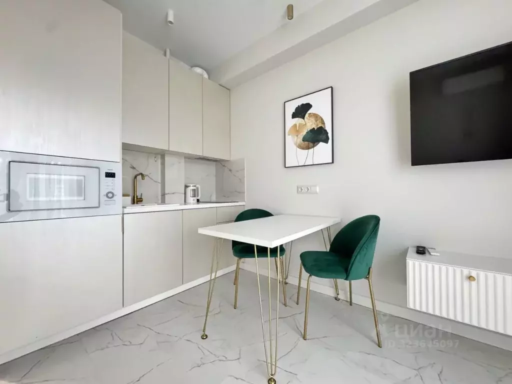 Студия Краснодарский край, Сочи ул. Тимирязева, 34Б (28.0 м) - Фото 2