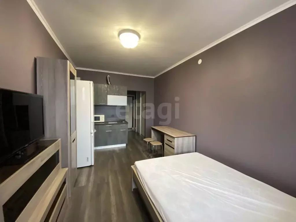 Студия Красноярский край, Красноярск ул. Карамзина, 16 (22.0 м) - Фото 1