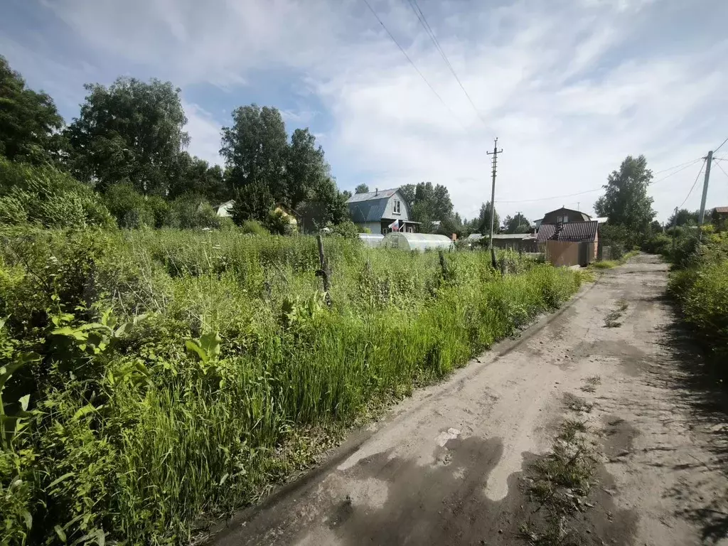 Участок 4 сот. (СНТ, ДНП) - Фото 0