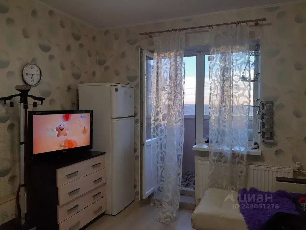 Студия Санкт-Петербург пос. Шушары, просп. Новгородский, 7к2 (27.0 м) - Фото 2