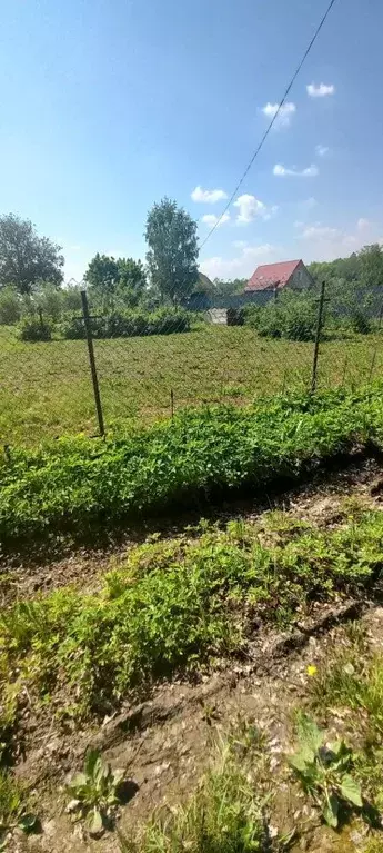 Участок в Ленинградская область, Ломоносовский район, Горбунковское ... - Фото 1