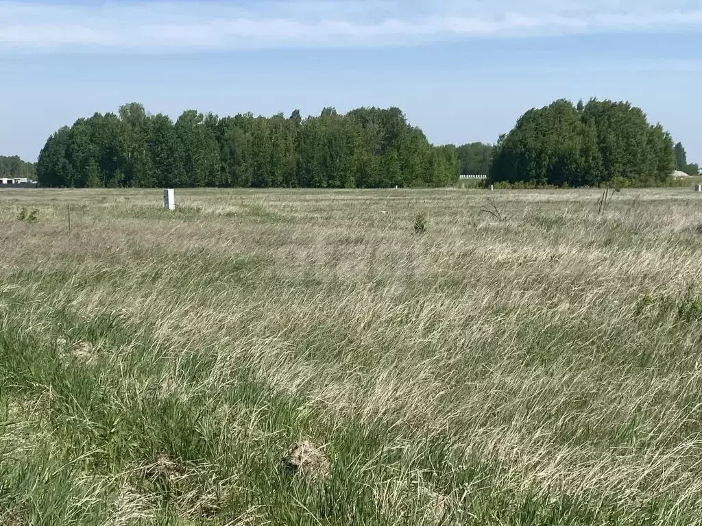 Участок в Тюменская область, Тюменский район, Новокаменский кп  (8.0 ... - Фото 0