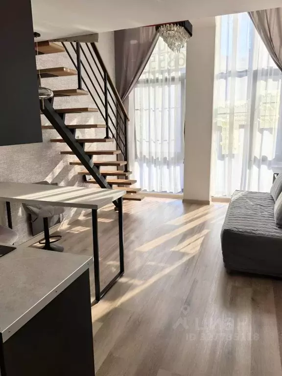 2-к кв. Краснодарский край, Сочи Виноградная ул., 207 (42.0 м) - Фото 2