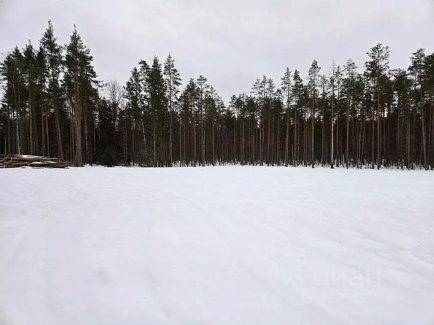 Участок в Ленинградская область, Выборгский район, пос. Поляны  (12.0 ... - Фото 1