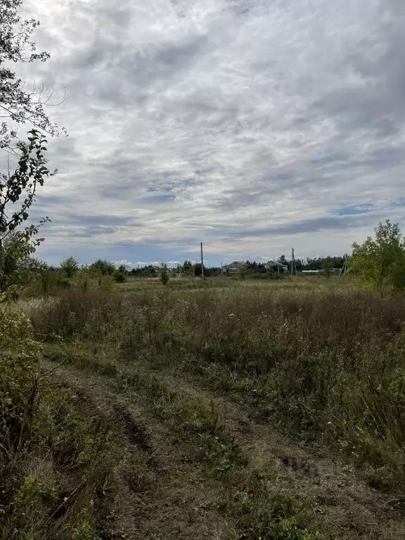 Участок в Самарская область, Волжский район, Рождествено с/пос, с. ... - Фото 2