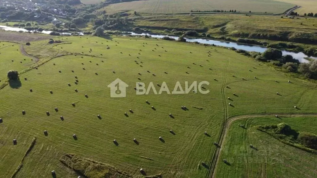 Участок в Владимирская область, Суздальский район, Боголюбовское ... - Фото 1