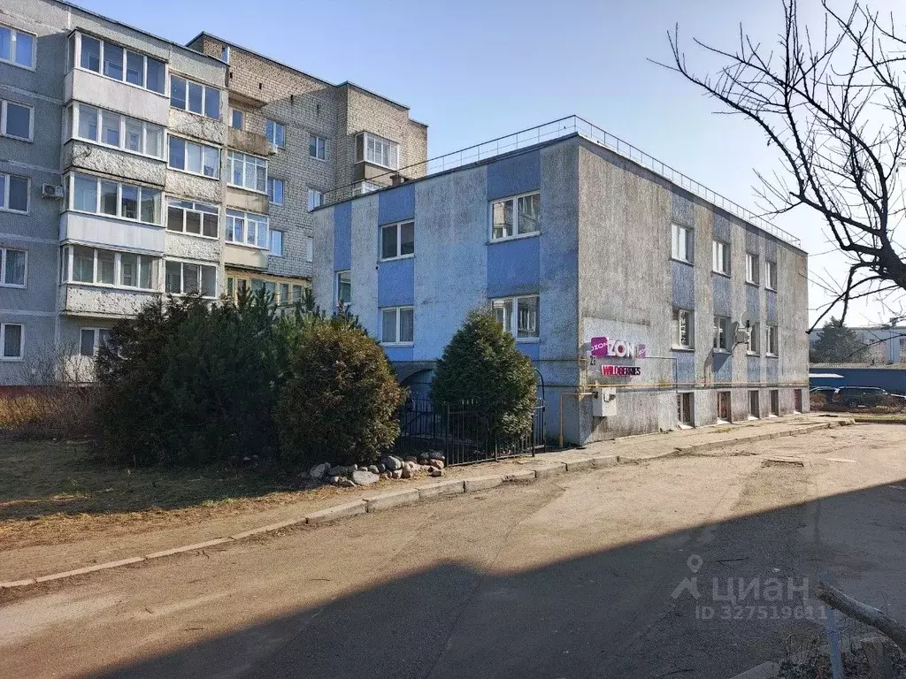 Помещение свободного назначения в Калининградская область, Светлый ул. ... - Фото 1