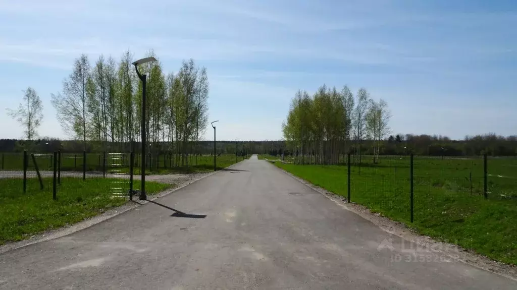 Участок в Ленинградская область, Приозерский район, Ромашкинское ... - Фото 1