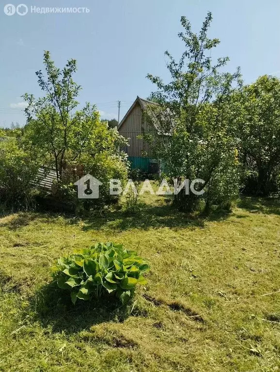 Участок в деревня Большая Вруда, 53 (25 м) - Фото 2