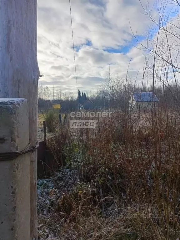 Участок в Вологодская область, Подшипник садоводческое товарищество  ... - Фото 0