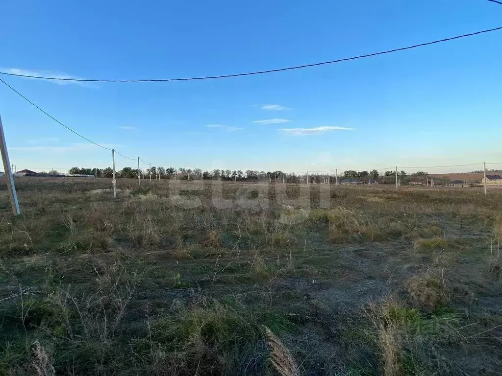 Участок в Воронежская область, Семилукский район, Губаревское с/пос, ... - Фото 2