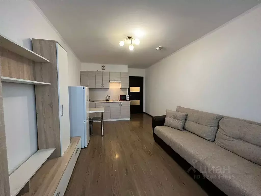 Студия Санкт-Петербург просп. Энергетиков, 9к6 (24.4 м) - Фото 2