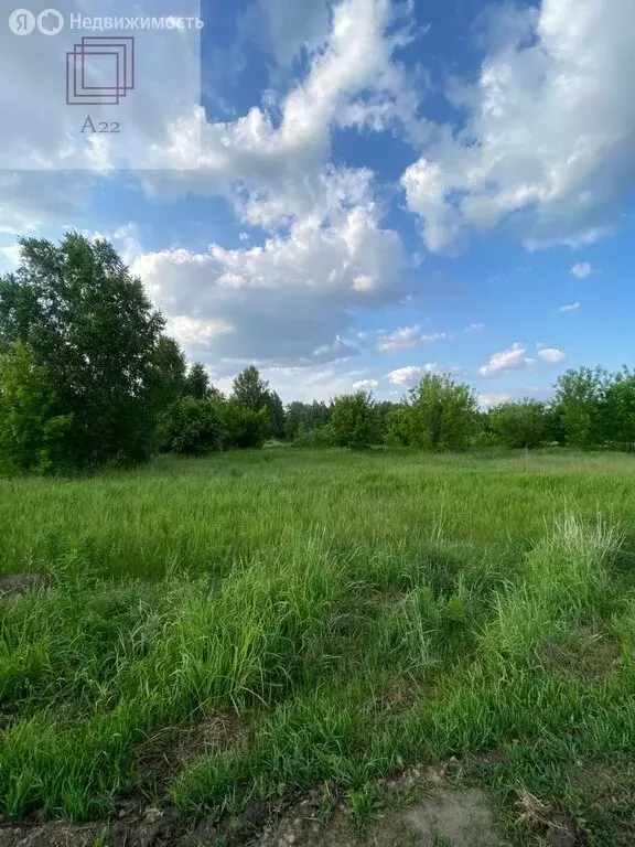 Участок в Бельмесево, Окольная улица, 8 (10 м) - Фото 1