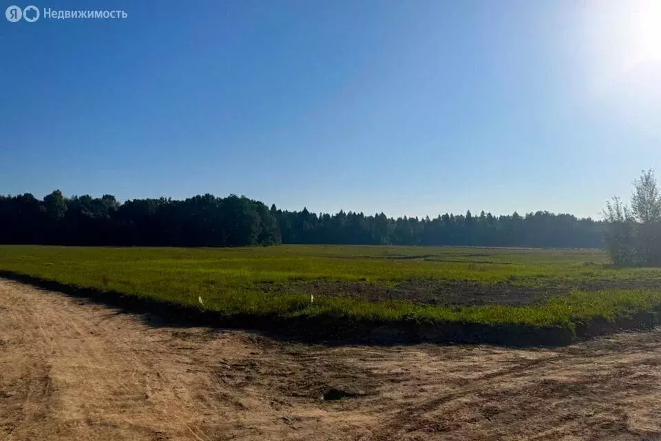 Участок в Каширский район, Каменно-Верховское сельское поселение, село ... - Фото 0