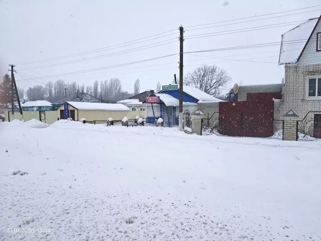 Торговая площадь в Воронежская область, Грибановский пгт ул. ... - Фото 2
