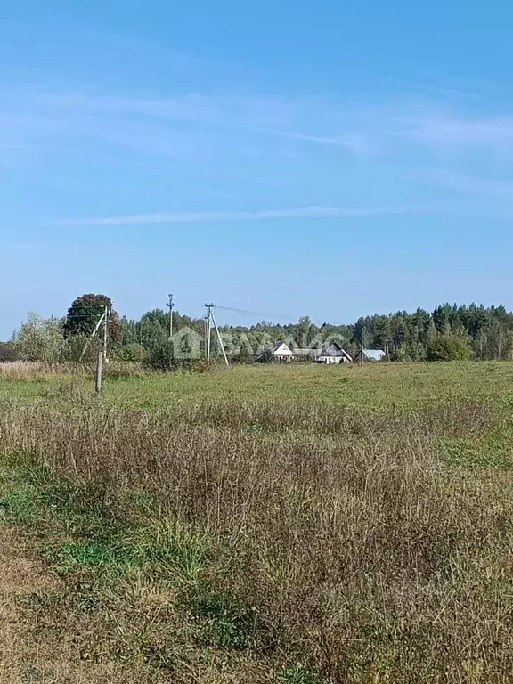 Участок в Владимирская область, Судогодский район, д. Станки ул. ... - Фото 0
