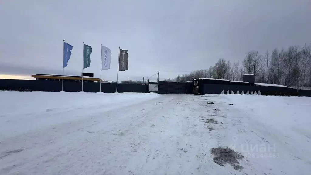 Участок в Санкт-Петербург, Санкт-Петербург, Павловск Павлов Скай кп,  ... - Фото 1