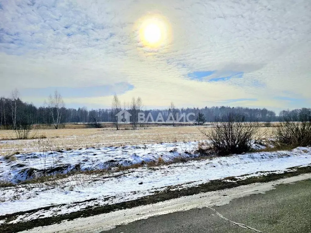 Участок в Московская область, Домодедово городской округ, с. ... - Фото 1