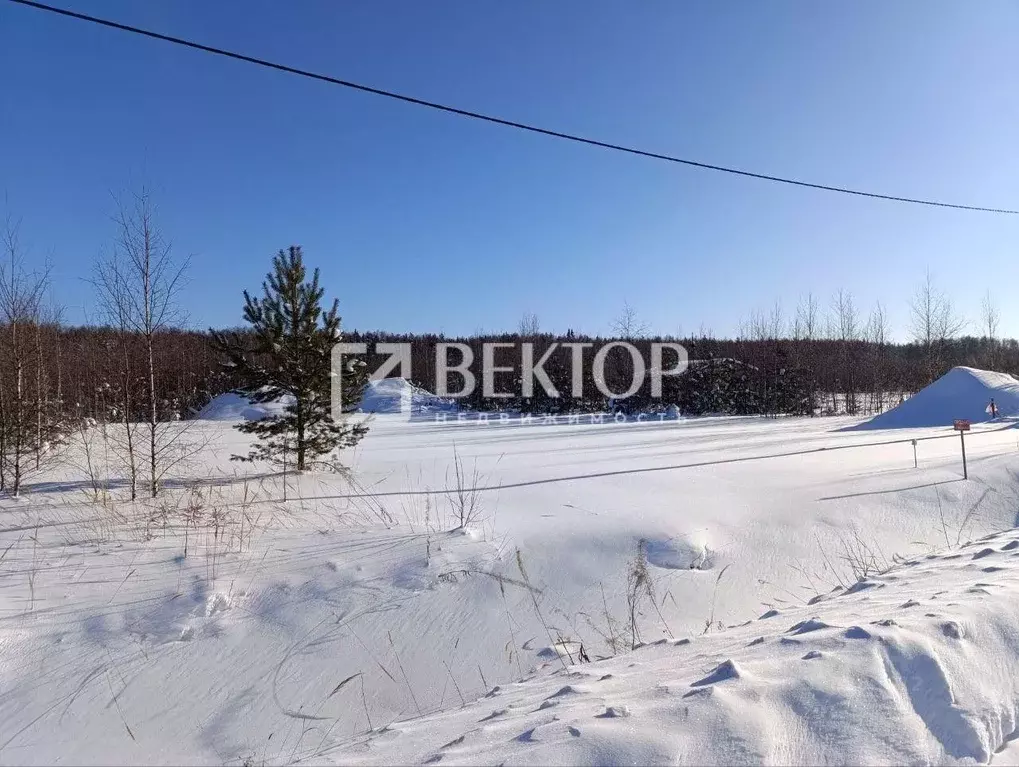 Участок в Костромская область, Костромской район, Бакшеевское с/пос, ... - Фото 2