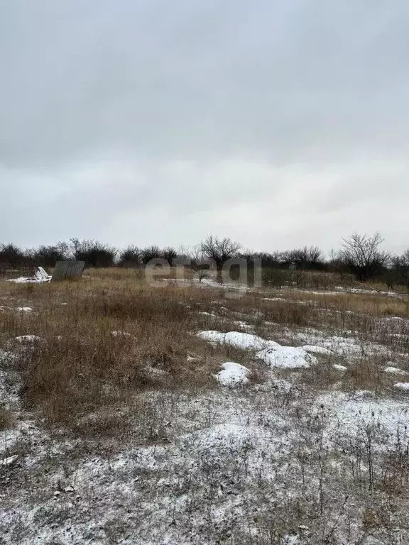 Участок в Белгородская область, Белгородский район, с. Стрелецкое, ... - Фото 1