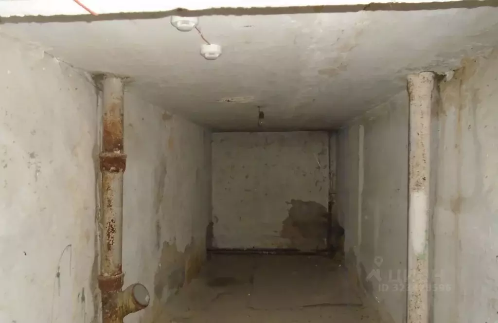 Помещение свободного назначения в Новосибирская область, Новосибирск ... - Фото 2