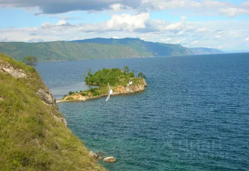 Участок в Иркутская область, Ольхонский район, с. Еланцы ул. ... - Фото 2