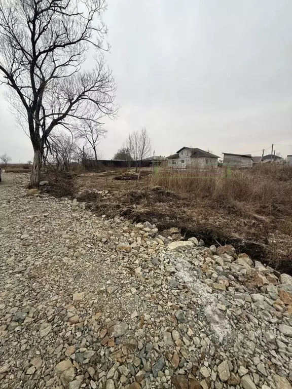 Участок в Приморский край, Артемовский городской округ, с. Кневичи ул. ... - Фото 1