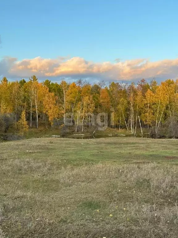 Участок в Саха (Якутия), Муниципальный район Хангаласский у., с. ... - Фото 0