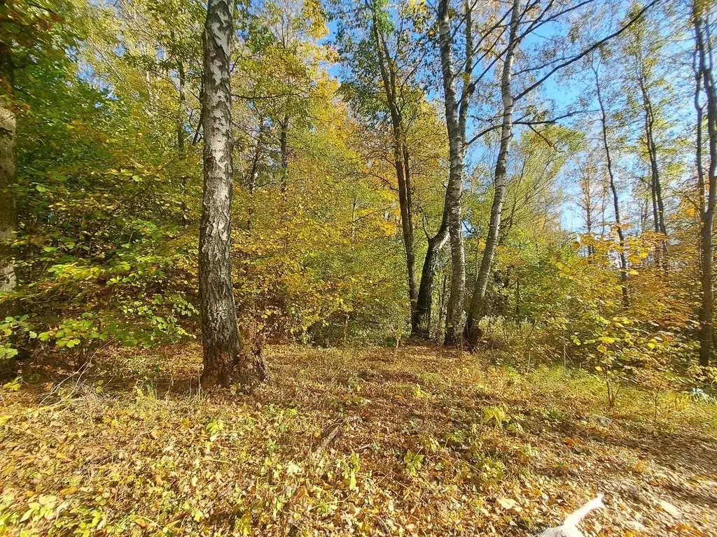 Участок в Московская область, Кашира городской округ, д. Завалье-1  ... - Фото 0