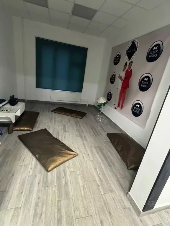 Помещение свободного назначения в Москва, Москва, Московский г. ул. ... - Фото 2