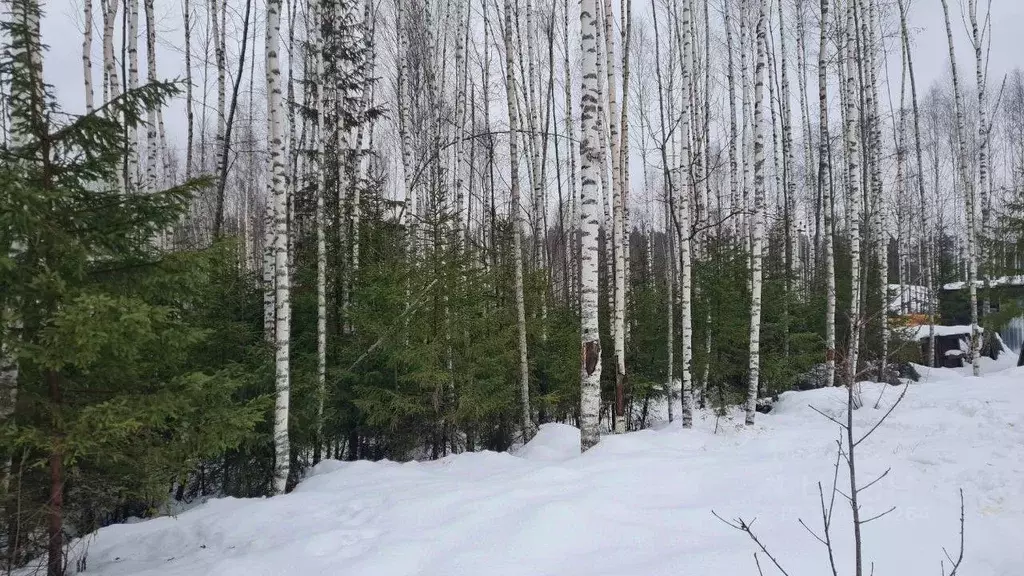 Дом в Московская область, Дмитровский муниципальный округ, д. Шадрино, ... - Фото 0