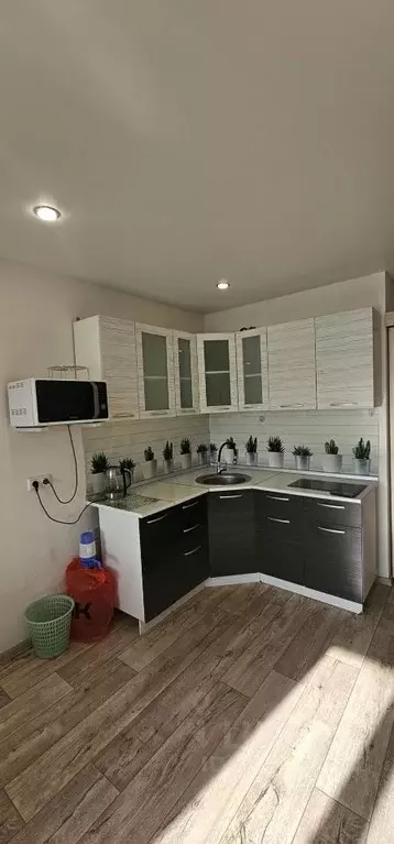 Студия Приморский край, Владивосток Снеговая ул., 123 (23.2 м) - Фото 1