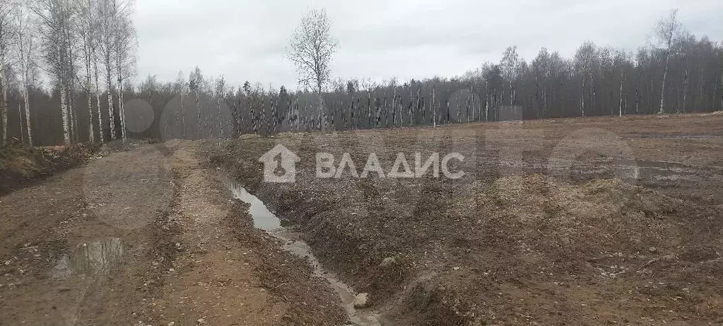Участок 5,5 сот. (СНТ, ДНП) - Фото 0