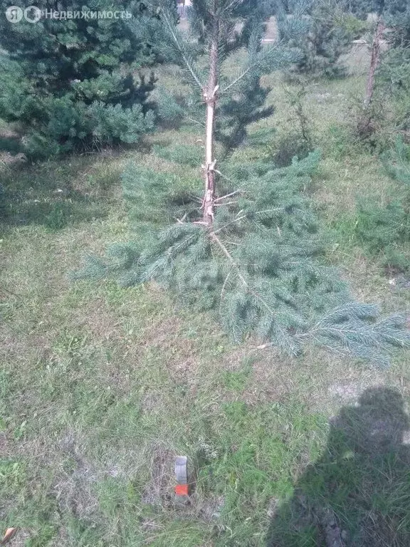 Участок в Кабанский район, село Сухая (8 м) - Фото 2