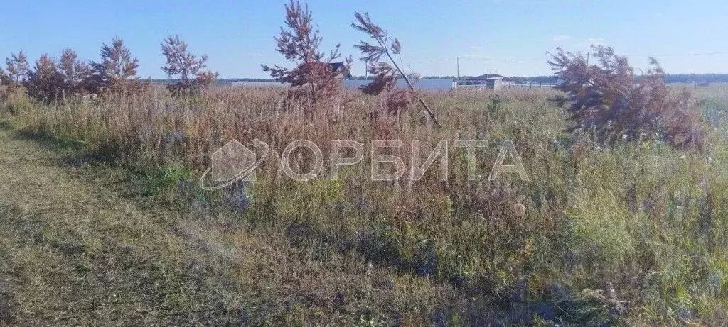 Участок в Тюменская область, Тюменский район, с. Борки ул. ... - Фото 1