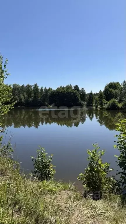 Участок в Брянская область, Брянский район, Нетьинское с/пос, Нетьинка ... - Фото 0