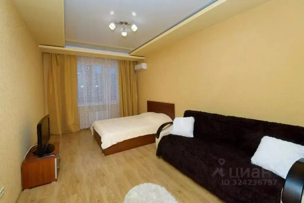 1-к кв. Пензенская область, Пенза ул. Пушкина, 15 (55.0 м) - Фото 1