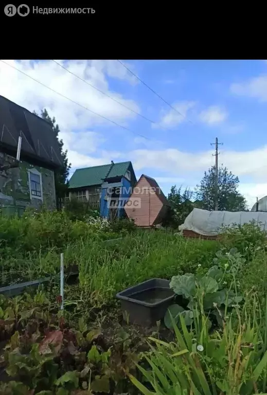 Участок в Раздольненский сельсовет, СНТ Черёмушки, Железнодорожная ... - Фото 1