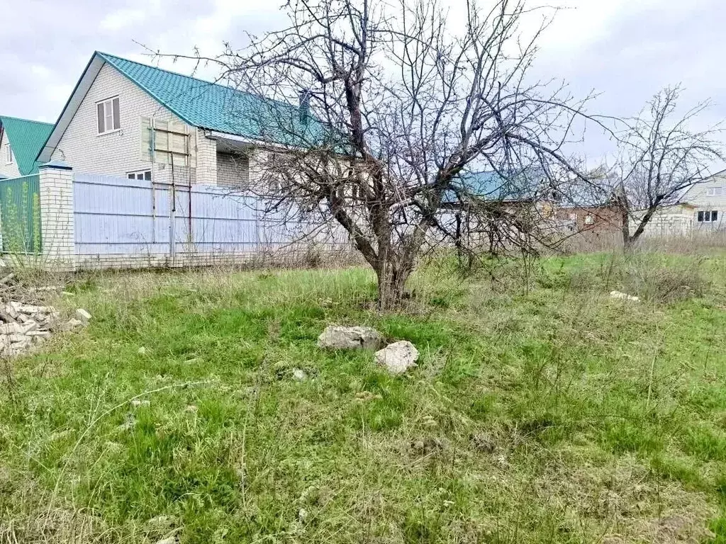 Участок в Воронежская область, Хохольский район, Петинское с/пос, пос. ... - Фото 2