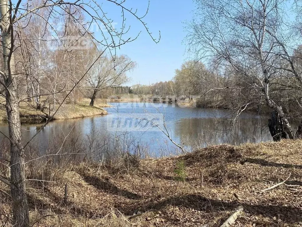 Участок в Челябинская область, Чебаркульский район, д. Сарафаново  ... - Фото 0