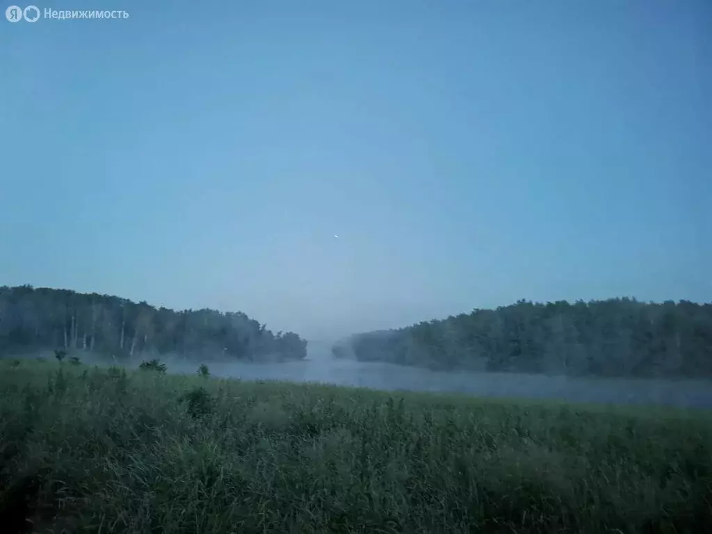 Участок в Тульская область, Венёвский муниципальный округ, деревня ... - Фото 0