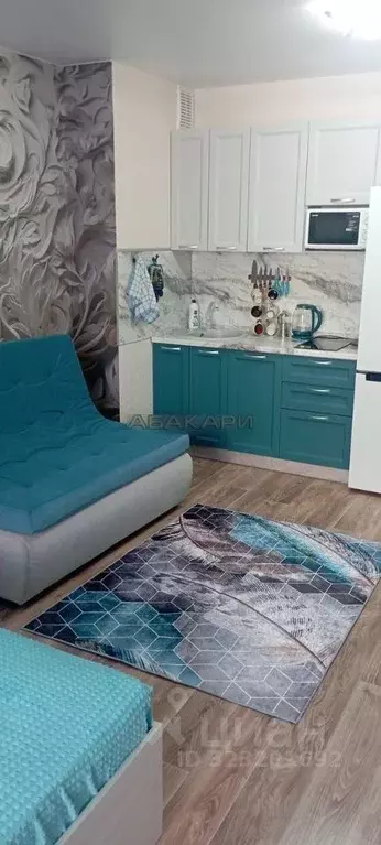 Студия Красноярский край, Красноярск ул. Дубровинского, 110Б (37.0 м) - Фото 1