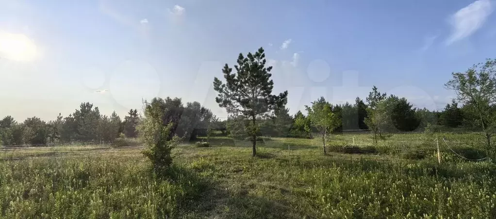 Участок 6 сот. (ИЖС) - Фото 0