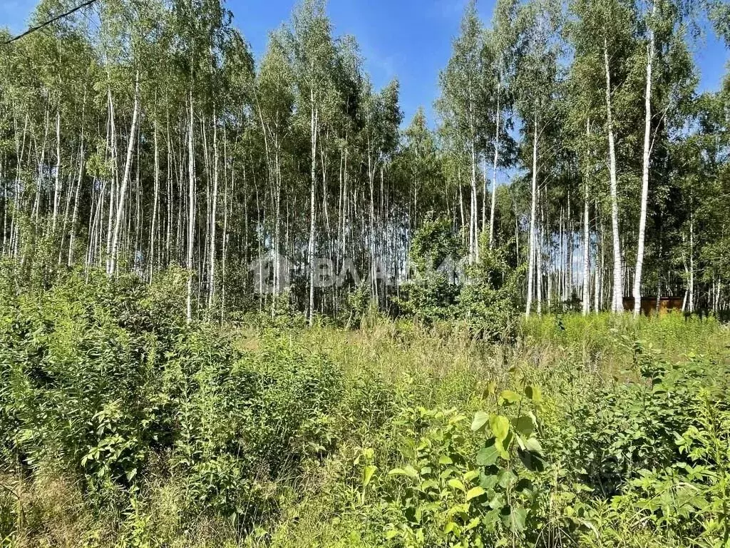 Участок в Владимирская область, Владимир ул. 2-я Сорокинская, 23 (10.6 ... - Фото 0