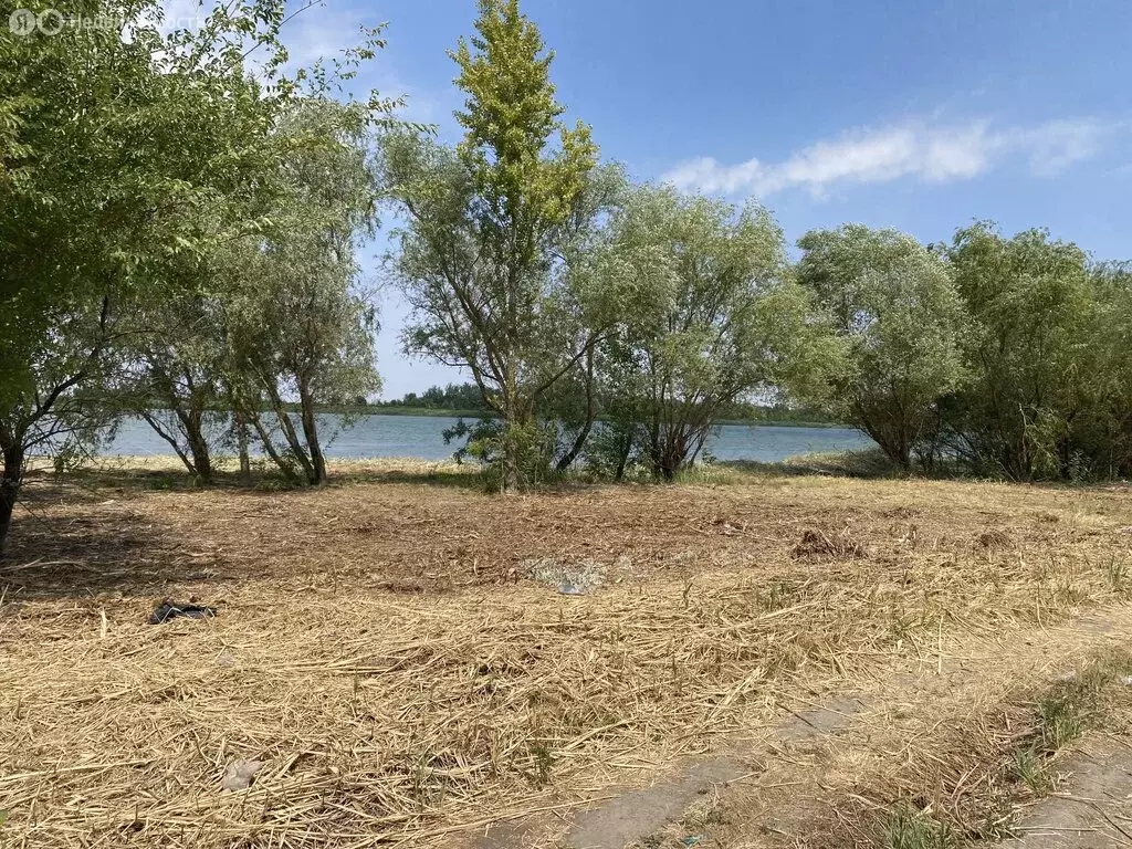 Участок в Манычское сельское поселение (180 м) - Фото 2