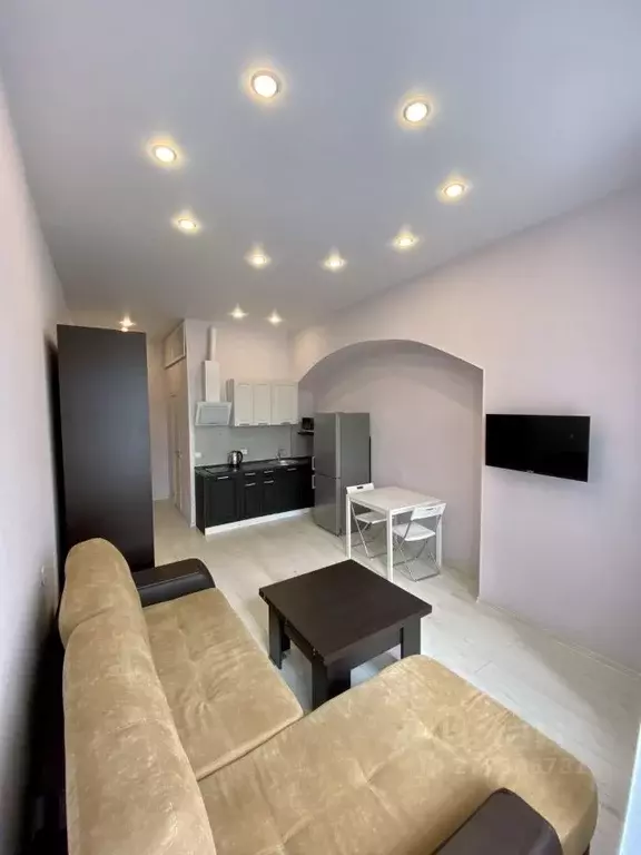 Студия Санкт-Петербург наб. Обводного Канала, 53 (26.0 м) - Фото 2