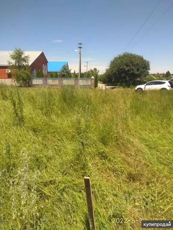 Участок в Курганская область, Кетовский муниципальный округ, пос. ... - Фото 2